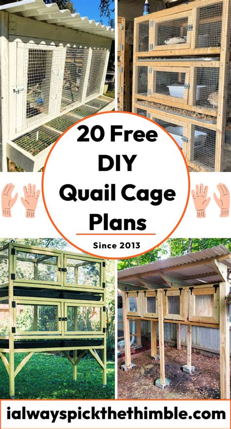 best quail coop design|15 DIY Quail Cage Plans and Ideas for Every Poultry。